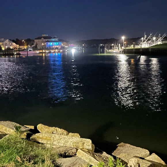 Meet your Posher, Farah - Picture 2 of 4